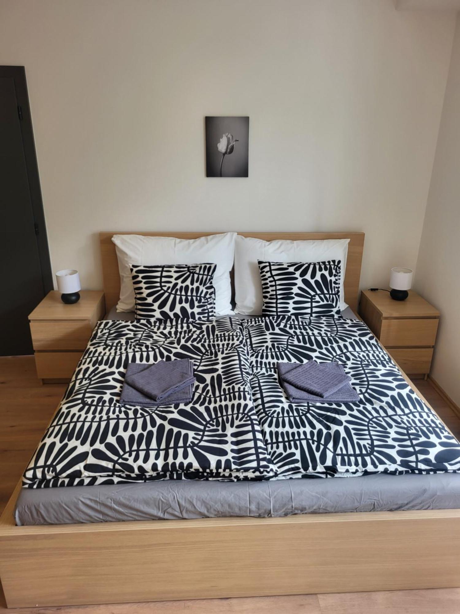 City Center Apartments - Moderna Brno Rimske Namesti IV Esterno foto